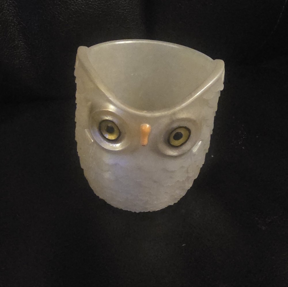 White Resin Owl Planter For Succulant Or Cactus 3.5 X 3 Inch